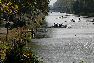 Initiation à l'aviron pour 4 - Toulouse Aviron Sports et Loisirs - Toulouse (31)