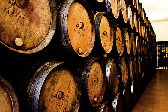 BODEGAS LOS PINOS - photo 8