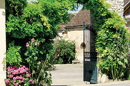 Les Trémières