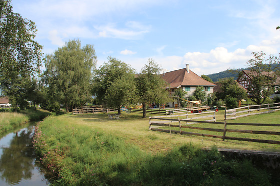 Eselhof Säge - photo 0