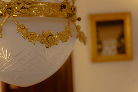 B&B Goudsbloempje - photo 6