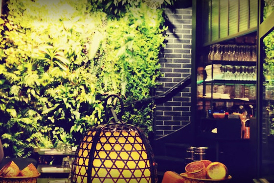 Suan II - photo 2