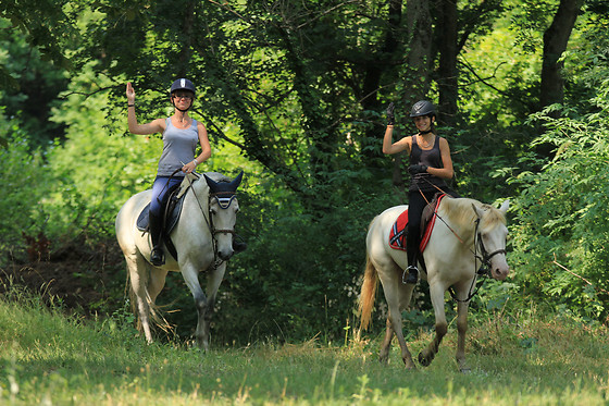 Sportives et aventurières
