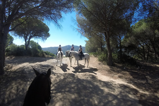 ARRABIDA HERITAGE - PORTUGAL LUXURY RETREAT - photo 3