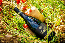 Château de Manissy