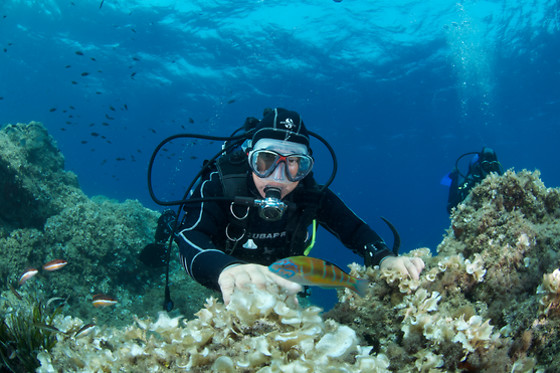 BINIBECA DIVING MENORCA - photo 1
