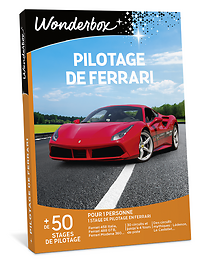 Pilotage de Ferrari