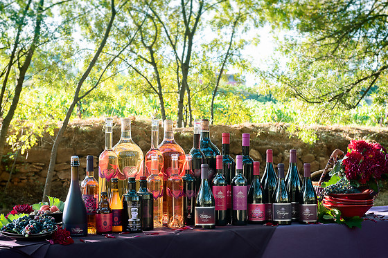 Château & Village Castigno - Wine Hotel & Resort - photo 3