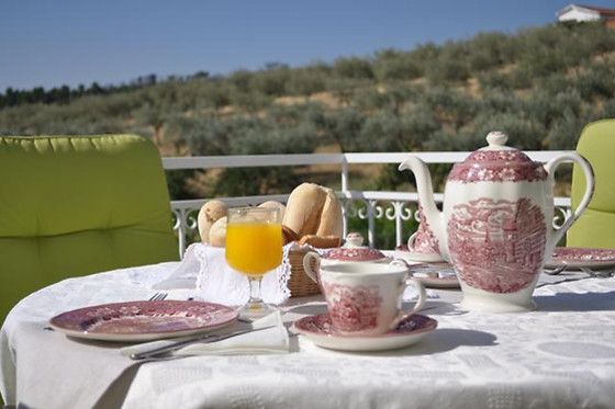 QUINTA ROTA D'OLIVEIRA - photo 3