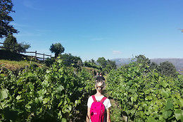 QUINTA DE SANTA MARINHA