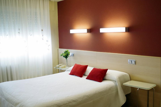 HOTEL ALAIZ - photo 1