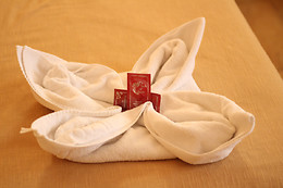 HOSTAL GOYESCO PLAZA