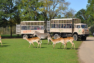 Séjour loisirs parc d'attractions en famille