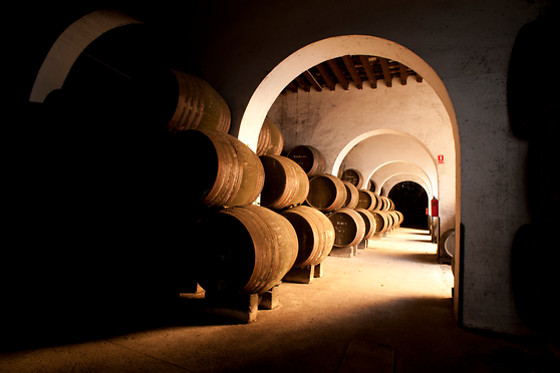 BODEGAS BARBADILLO - photo 1