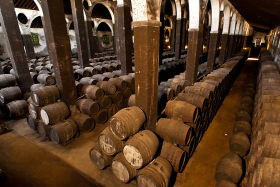 BODEGAS BARBADILLO - photo 2