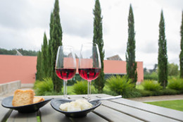 QUINTA DA CRUZ HOTEL RURAL & SPA****