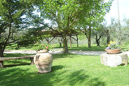 Fattoria Del Quondam