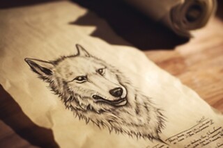 Partie d'escape game et dégustation de vin pour deux - Vignoble Evasion - Haux (33)