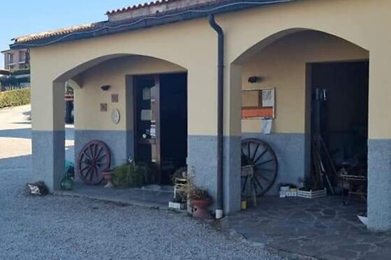 Pasqualetti Viticoltori - photo 0