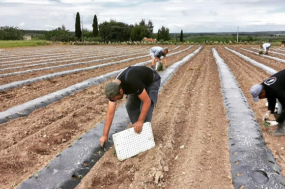 Azienda Agricola Colle di Seta - photo 4