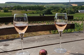 Une dégustation gourmande Au Cœur des Sens à Épernay (51)
