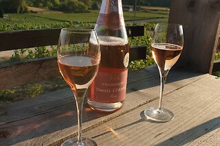 Une dégustation gourmande Au Cœur des Sens à Épernay (51)