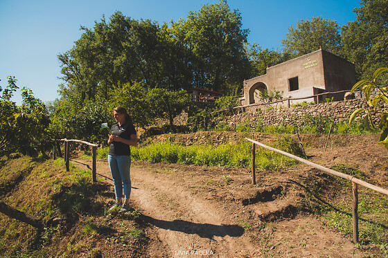 Tenuta del Cannavale - photo 2
