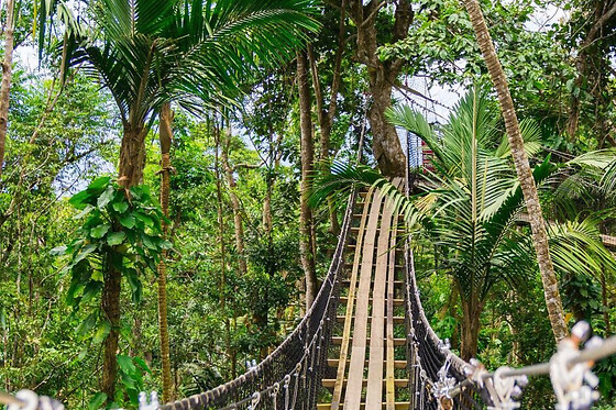 Billet pour le Zoo de Guadeloupe (97)