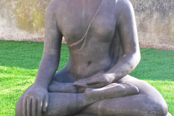 Institut Sandra - photo 12