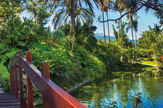 HOTEL BOTANICO & THE ORIENTAL SPA GARDEN - photo 5