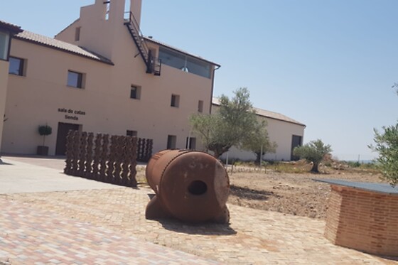 OLIVARES DE ALTOMIRA - photo 4