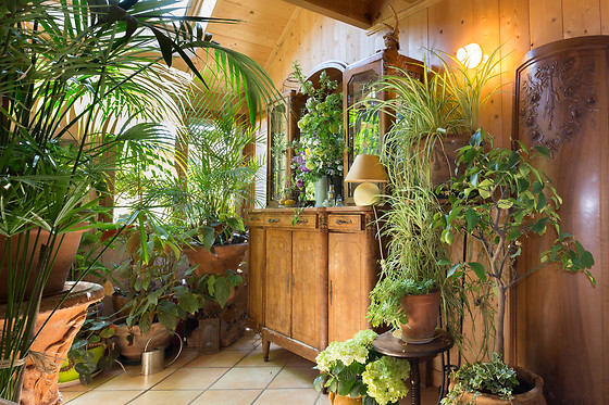 Séjour pour 2 Au Jardin à Biscarosse (40)