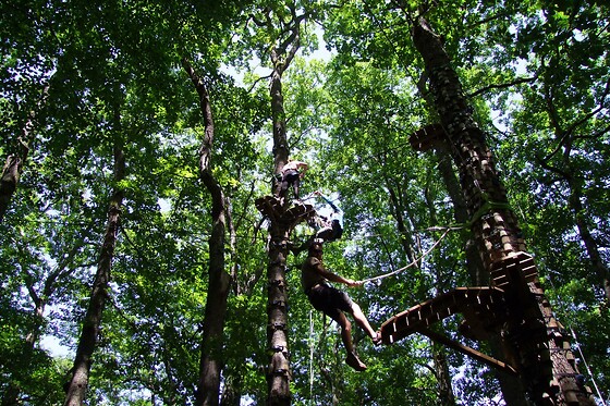 Oba'O Parc - photo 2