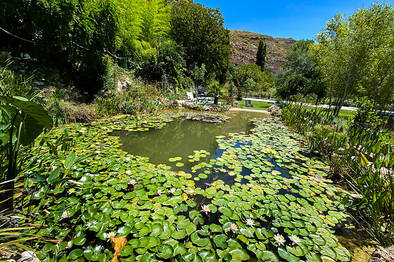 XUQ LOMAS DE RUVIRA - photo 12