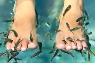 Fish Spa à Sélestat (67) - Fish Spa en duo