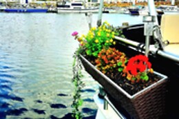 Bateau Le Zimon