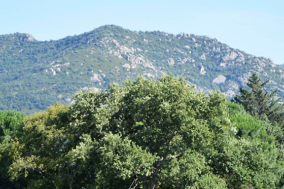 Les hébergements insolites Catalans les gîtes de Lilou - photo 6