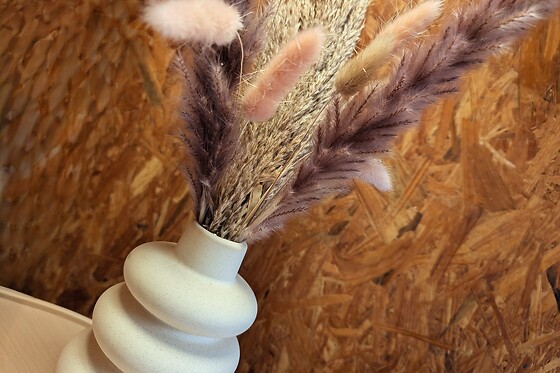 Cerise des bois - photo 1
