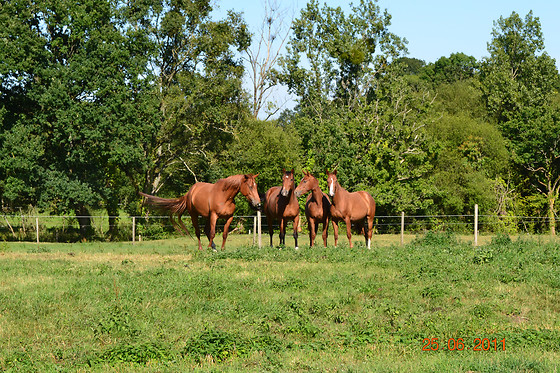 Domaine des Vaulx - photo 10