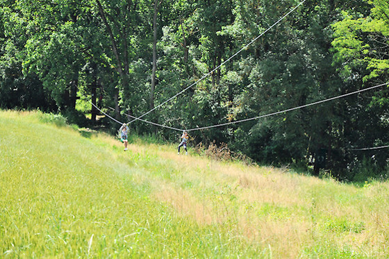 Natura Game - photo 7
