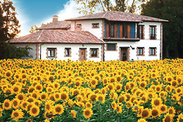 HOTEL RURAL MOLINO GALOCHAS