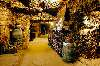 Visite de caves et cours d'œnologie pour un groupe aux Caves Ambacia à Amboise (37)