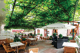Hôtel du Parc*** Welness & Spa - Restaurant L'Alexain
