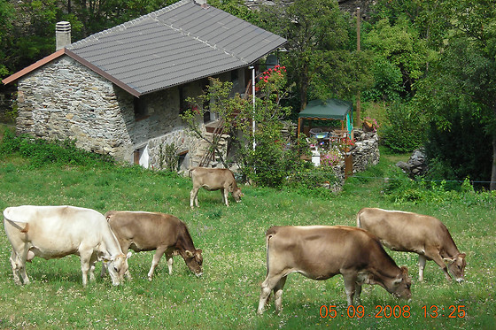 B&B Baita Evelina - photo 4