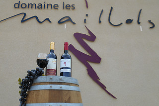 Visite et dégustation de vin au Domaine les Maillols à Villegly (11)