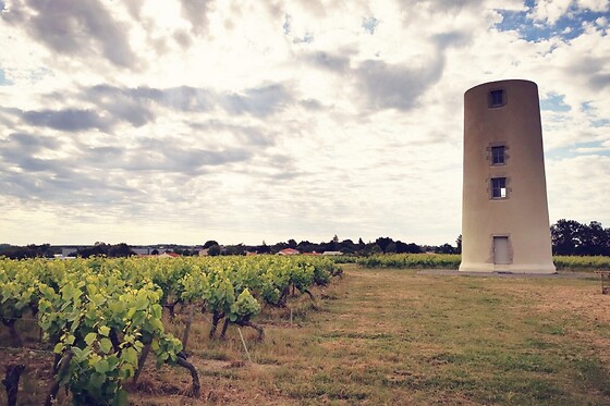 Vignoble Malidain - photo 0
