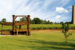 Vignoble Malidain