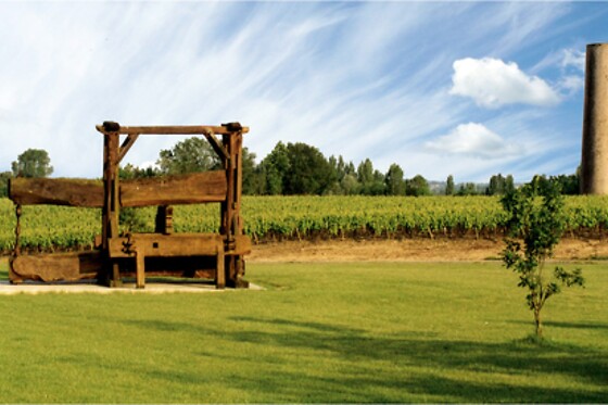 Vignoble Malidain - photo 1
