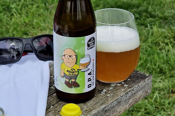 HopSaSam - photo 4
