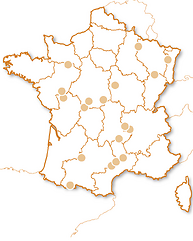 Saut à l'élastique